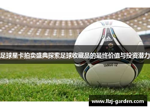 足球星卡拍卖盛典探索足球收藏品的最终价值与投资潜力