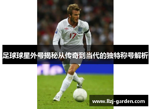 足球球星外号揭秘从传奇到当代的独特称号解析