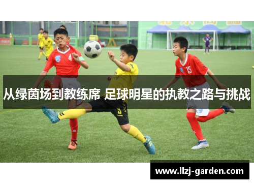 从绿茵场到教练席 足球明星的执教之路与挑战