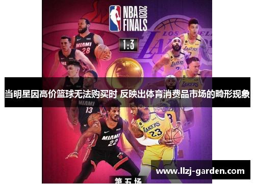 当明星因高价篮球无法购买时 反映出体育消费品市场的畸形现象
