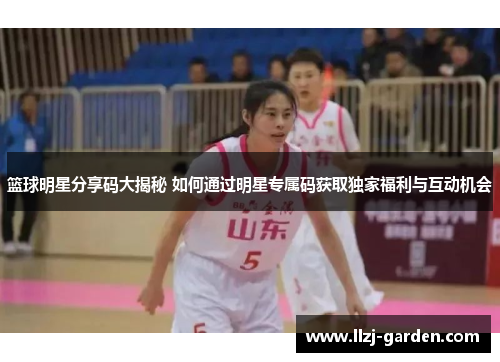 篮球明星分享码大揭秘 如何通过明星专属码获取独家福利与互动机会